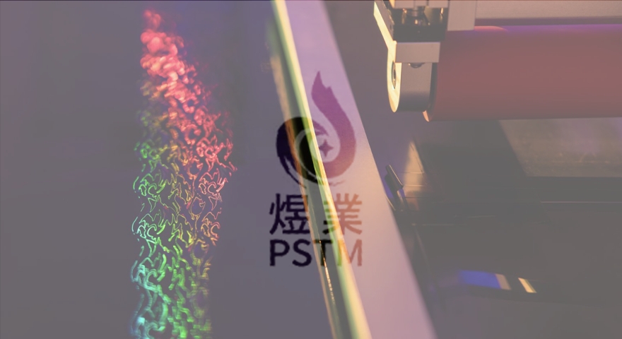 Promising Surface Technology Management Co., Ltd. (PSTM)